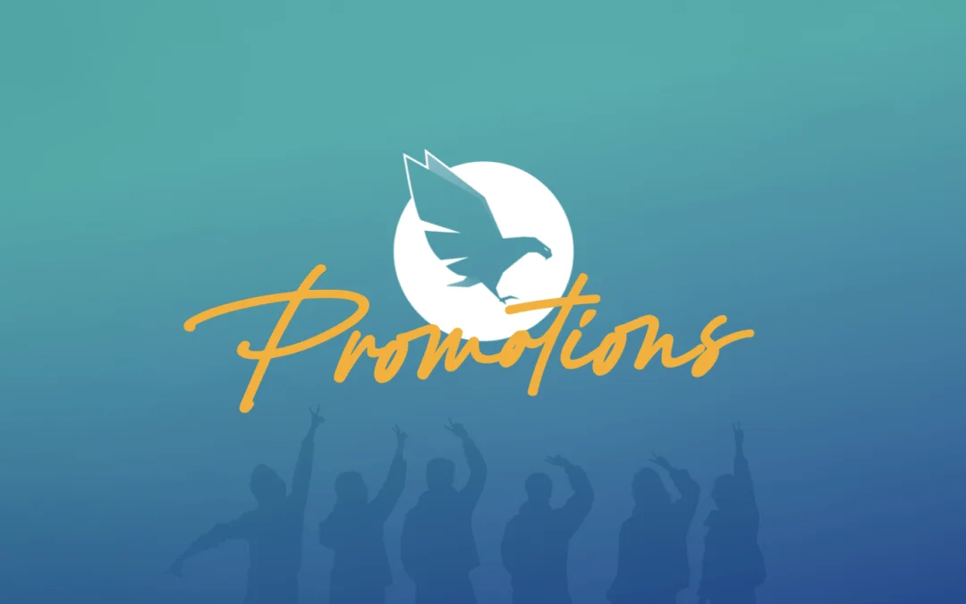 Senior promotions at Hawk Platform as DSP doubles in size