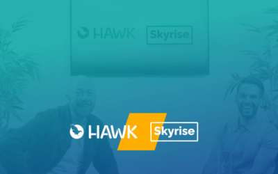 Hawk x Skyrise Partnership Interview