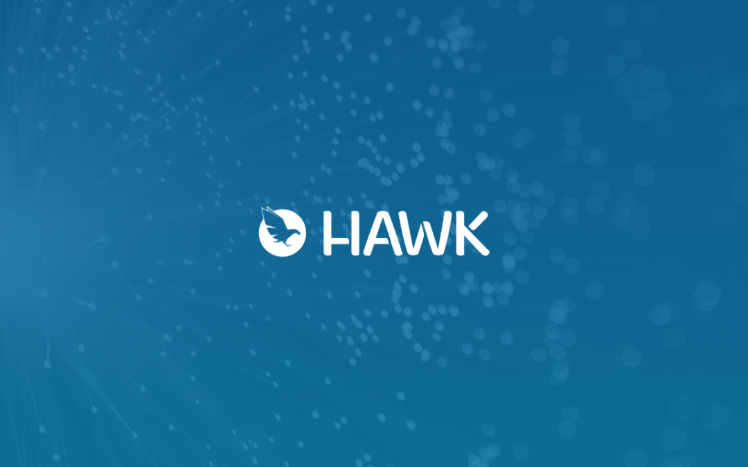 Attention measurement for advertisers: Hawk finalises strategic partnerships with key players to help clients optimise digital campaigns